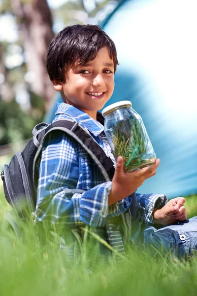 Jag kan inte vänta på show-and-tell. Söt liten pojke samla insekter i en burk med ett leende. — Stockfoto