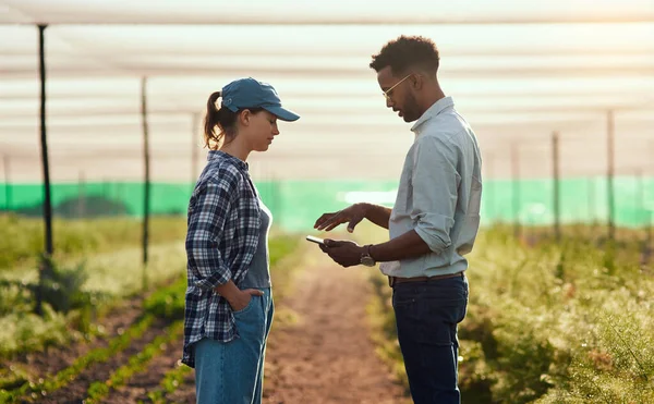 Je kunt alles hier bijhouden. Gehakte foto van twee jonge boeren die naar een tablet kijken terwijl ze op hun boerderij werken. — Stockfoto