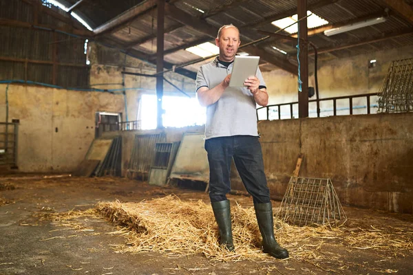 Sledovat všechno na farmě pomocí technologie. Plná délka záběr muže farmáře pomocí tabletu, zatímco stojí ve stodole na své mléčné farmě. — Stock fotografie