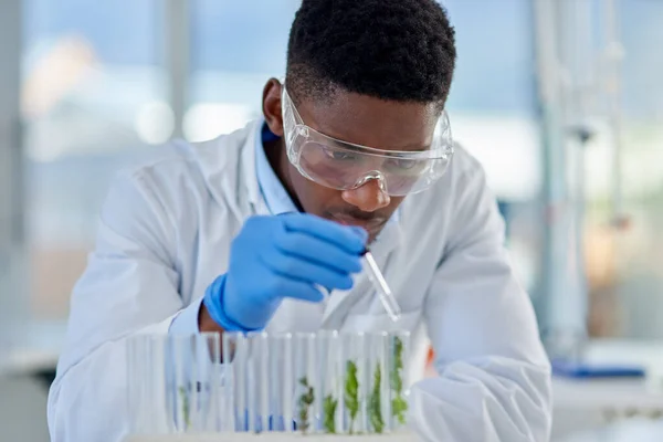Endlich ist die letzte Probe fertig. Schnappschuss eines fokussierten jungen männlichen Wissenschaftlers, der einer Pflanze innerhalb eines Labors tagsüber Wasser gibt. — Stockfoto