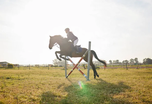 Jóquei Em Seu Cavalo Que Pula Sobre Um Obstáculo Foto de Stock