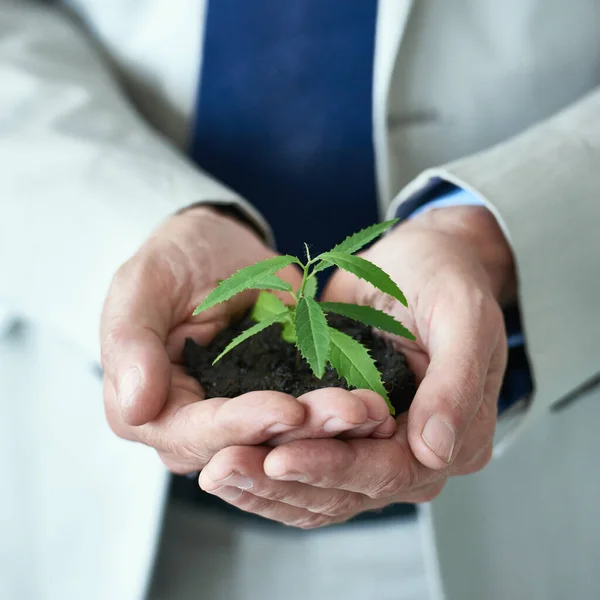 Wielkie rzeczy mają czasem najmniejsze początki. Ujęcie biznesmena trzymającego małą roślinkę rosnącą w glebie. — Zdjęcie stockowe