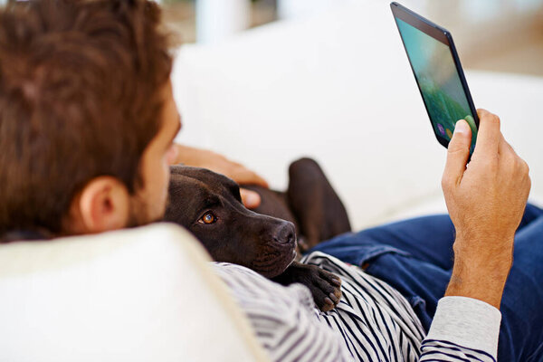 Even mans best friend is into it. Man using his tablet on his couch.