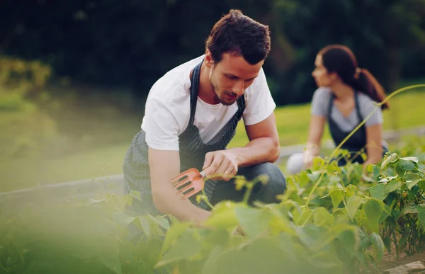 La bontà è verde. Girato di un giovane che lavora in un giardino con la moglie sullo sfondo. — Foto Stock