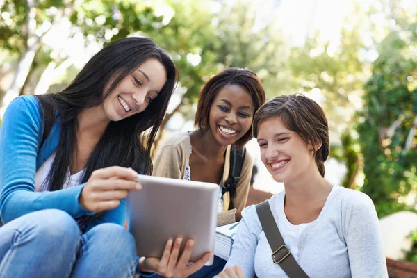 Studium je mnohem zábavnější s tvými přáteli. Postřelen různorodé skupiny vysokoškolských studentů sedících společně venku a provádějících online výzkum. — Stock fotografie