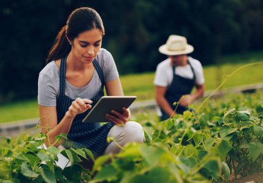 Akıllı çiftçiler akıllı teknoloji kullanır. Arka planda kocasıyla bahçede çalışırken dijital tablet kullanan genç bir kadının fotoğrafı..