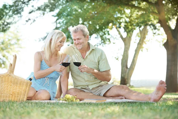 Ще один рік любові і щастя. Щасливий чоловік і дружина тости з келихом вина, коли вони насолоджуються пікніком на вулиці в парку в літній день . — стокове фото