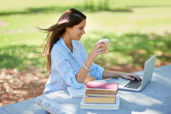 선샤인 연구 시간이야. 어느 아름다운 한 젊은 대학생 이 공원에서 노트북 과 책을 들고 앉아 있는 사진을 찍었습니다.. — 스톡 사진