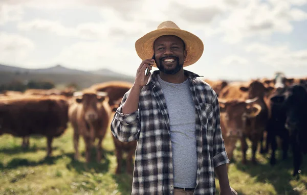 より広い農業コミュニティに最も簡単に接続する方法です。牛の農場で働いている間にスマートフォンを使って成熟した男のショット. — ストック写真