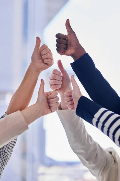 Положительный настрой на бизнес. Обрезанный снимок группы бизнесменов, показывающих большие пальцы в офисе. — стоковое фото
