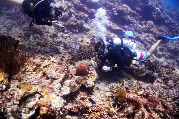 Leren over een verborgen omgeving. Twee duikers onderzoeken een prachtig koraalrif.. — Stockfoto