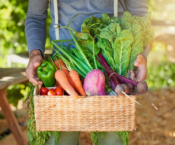 De natuur weet het het beste. Gehakt schot van een man met een mand vers geplukte producten in een tuin. — Stockfoto