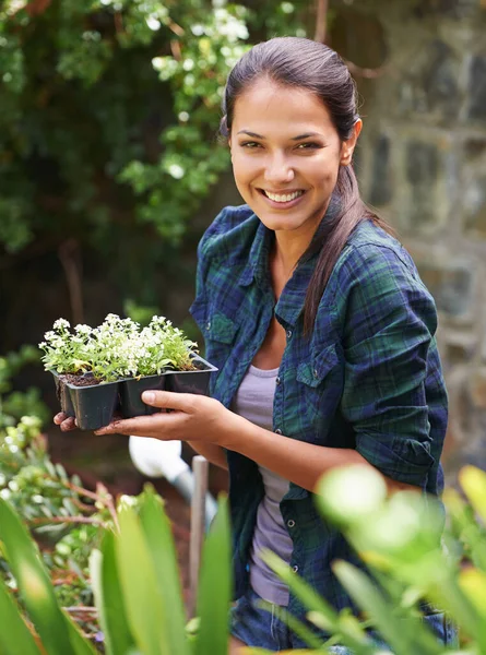 Getting ready to grow. Portrait of an attractive young woman holding a punnet of seedlings. — Stock Photo, Image