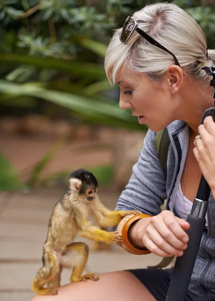 In contact komen met de natuur. Gehakt schot van een jonge vrouw interactie met een kleine aap in een wildpark. — Stockfoto