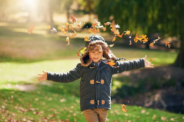 Quand les feuilles d'automne tombent son temps pour avoir une boule. Tourné d'un petit garçon heureux jouant dans les feuilles d'automne à l'extérieur. — Photo
