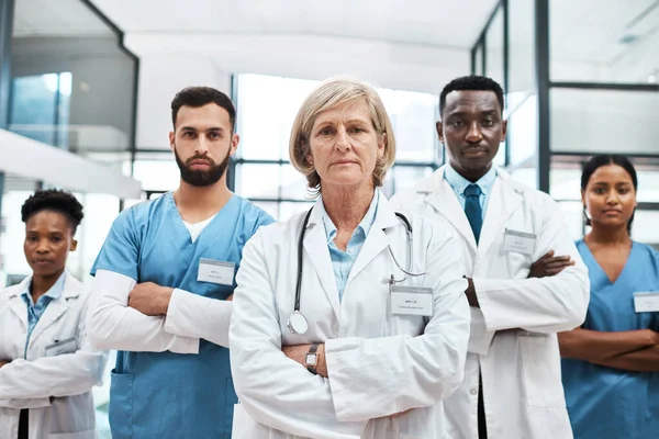 Nous visons à améliorer la qualité et l'efficacité des soins de santé. Portrait d'un groupe de médecins debout ensemble dans un hôpital. — Photo