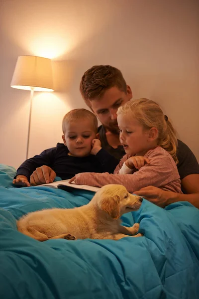 Tout le monde aime une bonne histoire. Un père lisant une histoire à ses enfants. — Photo