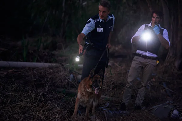 Atraparán a su hombre. Disparo de dos policías y su perro rastreando a un sospechoso a través del matorral por la noche. —  Fotos de Stock