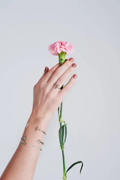 Życie jest kwiatem, tak cennym w twoich rękach. Studyjne ujęcie nierozpoznawalnej kobiety trzymającej kwiat na szarym tle. — Zdjęcie stockowe