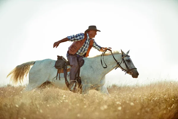 Åh, ja. En cowboy på sin häst. — Stockfoto