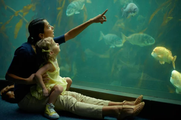 Ze concentreerde zich op die vissen. Gehakte foto van een klein meisje op een uitstapje naar het aquarium. — Stockfoto