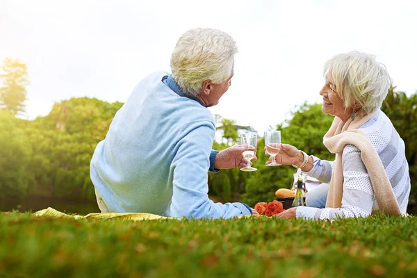 Пікнік у парку. Знімок старшої пари, насолоджуючись пікніком у парку . — стокове фото