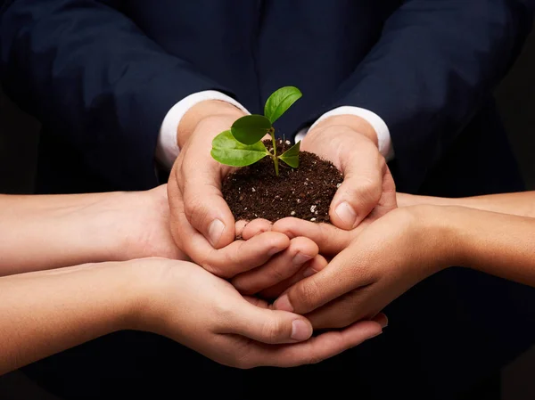 Cuidar e conservar. Tiro de um grupo de mãos segurando uma pilha de solo com uma planta em. — Fotografia de Stock