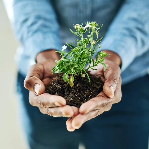 Dreams need to be nurtured. Cropped shot of a man holding a plant. — Stock Photo, Image