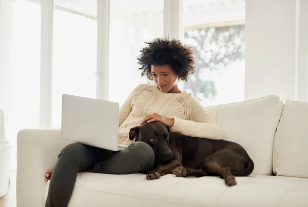 O çok iyi bir çocuk. Çekici bir genç kadının evdeki kanepede dizüstü bilgisayarını kullanırken köpeğini okşaması.. — Stok fotoğraf