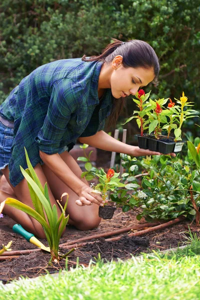 These will look great here. Shot of an attractive young woman working in the garden. — Stock Photo, Image