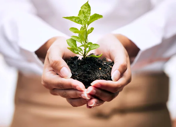 O crescimento pode ser confuso e bonito. Tiro de um empresário irreconhecível segurando uma planta que cresce fora do solo. — Fotografia de Stock
