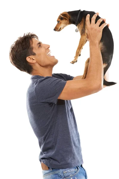 Bästa vänner för alltid. En ung man håller upp en liten hund och skrattar. — Stockfoto