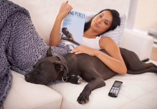 夏休みを計画してる。読書しながら彼女の犬と彼女のソファに横たわっている若い女性. — ストック写真