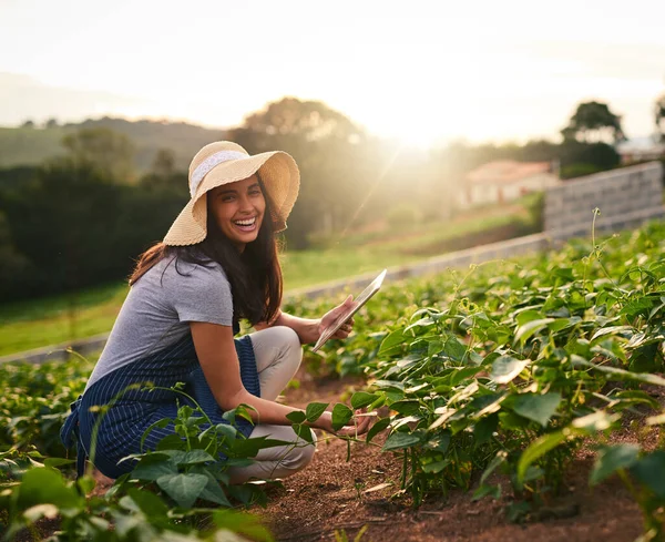 Технології дуже допомагають мені на фермі. Портрет привабливої молодої жінки, яка використовує планшет під час роботи на своїй фермі . — стокове фото