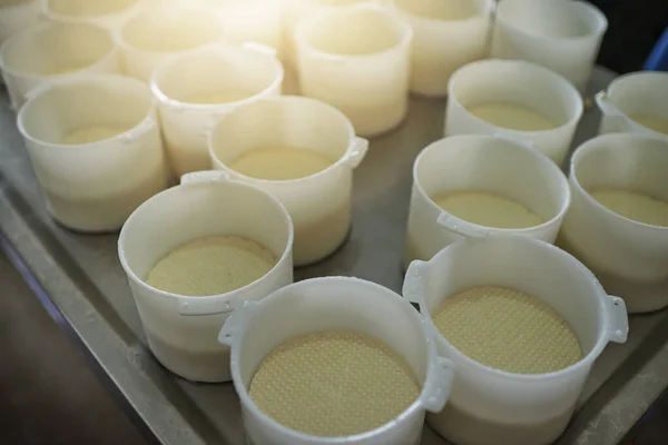 Będzie chłodno w serze. Duży kąt ujęcia wiader produktów mlecznych gotowych do przekształcenia w ser w fabryce na farmie. — Zdjęcie stockowe