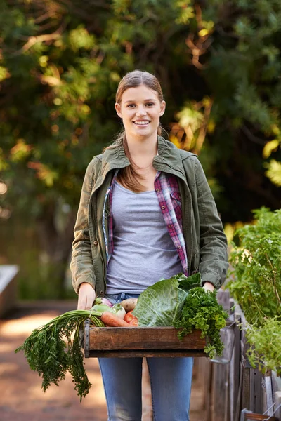 Gondját viseli a termésnek. Egy boldog fiatal nő portréja, kezében egy láda frissen szedett zöldséggel.. — Stock Fotó