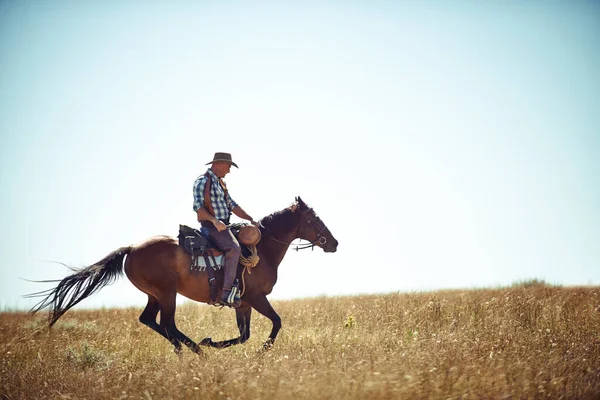 自由を手にした。フィールドに馬に乗って男のアクションショット. — ストック写真
