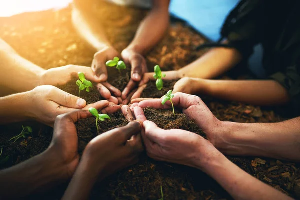A fenntartható növekedés rendkívül fontos. Közelkép egy csoport felismerhetetlen emberről, akik növényeket tartanak a talajban.. — Stock Fotó