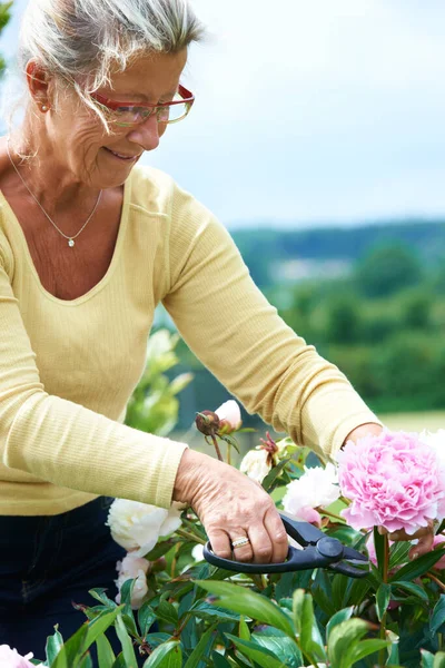 Un ottimo modo per rilassarsi. Una donna anziana sorridente potatura fiori all'aperto in giardino. — Foto Stock