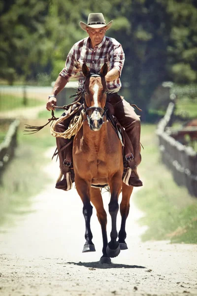 Åh, ja. En cowboy på sin häst. — Stockfoto