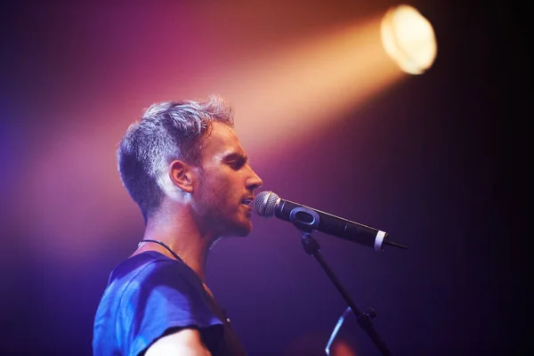 Tiro de um músico solitário tocando guitarra e cantando em um microfone. Este concerto foi criado com o único propósito desta sessão de fotos, com 300 modelos e 3 bandas ao vivo. Todas as pessoas nisto. — Fotografia de Stock