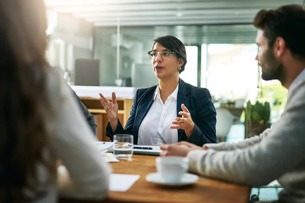 Ze heeft grote ideeën. Opname van een groep zakenmensen in de bestuurskamer.. — Stockfoto