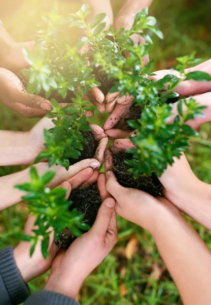 Não se afastem, cresçam juntos. Tiro cortado de um grupo de pessoas segurando plantas que crescem fora do solo. — Fotografia de Stock