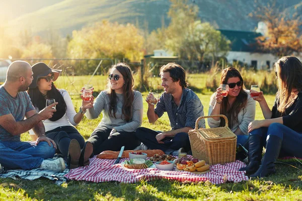 The perfect setting for a picnic. Shot of a group of friends having a picnic together outdoors. — Stock Photo, Image