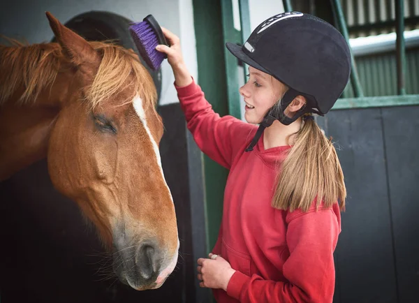 Everybody loves some pampering. Shot of a teenage girl brushing her horses coat. — Stock Photo, Image