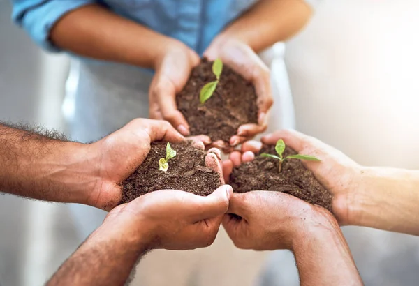 Nurture the talents of your team. Closeup shot of a group of people holding plants growing in soil. — Stock Photo, Image