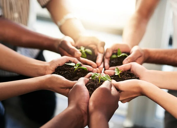 A jövő a mi kezünkben van. Felismerhetetlen emberek egy csoportjának levágott képe, akik talajból növő növényeket tartanak.. — Stock Fotó