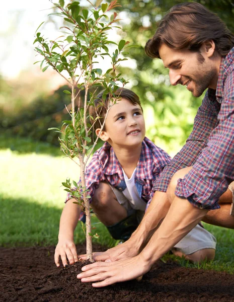 Дізнатися про садівництво від тата. Маленький хлопчик і його тато посадили дерево в саду . — стокове фото