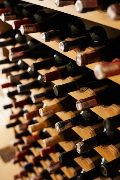 Свято для піддону. Колекція пляшок вина в підвалі . — стокове фото