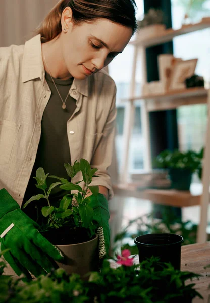 与植物合作是如此有益和治疗性的。被一个漂亮的年轻花匠在店里偷猎的植物射中了. — 图库照片